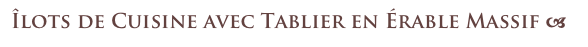 Îlots de Cuisine avec Tablier en Érable Massif a